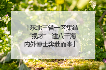 东北三省一区集结“揽才” 逾八千海内外博士奔赴而来