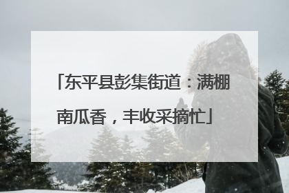 东平县彭集街道：满棚南瓜香，丰收采摘忙