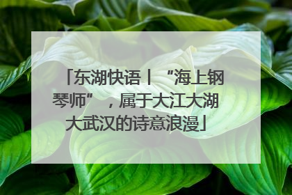 东湖快语丨“海上钢琴师”，属于大江大湖大武汉的诗意浪漫