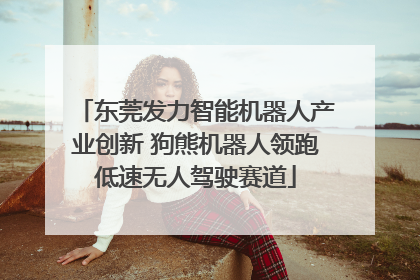 东莞发力智能机器人产业创新 狗熊机器人领跑低速无人驾驶赛道