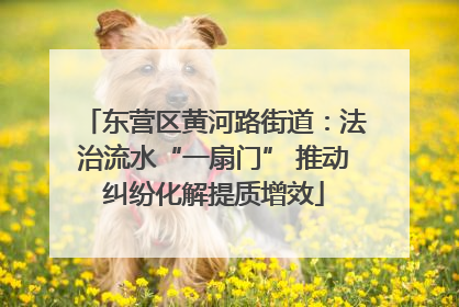 东营区黄河路街道：法治流水“一扇门” 推动纠纷化解提质增效