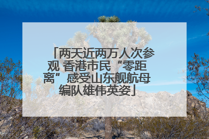 两天近两万人次参观 香港市民“零距离”感受山东舰航母编队雄伟英姿