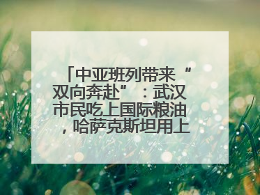 中亚班列带来“双向奔赴”：武汉市民吃上国际粮油，哈萨克斯坦用上鄂产光电屏