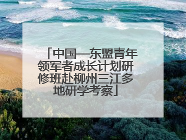 中国—东盟青年领军者成长计划研修班赴柳州三江多地研学考察