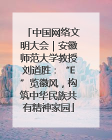 中国网络文明大会｜安徽师范大学教授刘道胜：“E”览徽风，构筑中华民族共有精神家园