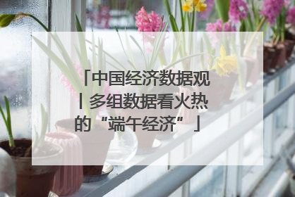 中国经济数据观丨多组数据看火热的“端午经济”
