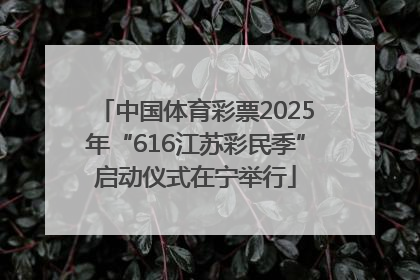 中国体育彩票2025年“616江苏彩民季”启动仪式在宁举行