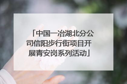 中国一冶湖北分公司信阳步行街项目开展青安岗系列活动