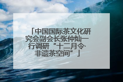 中国国际茶文化研究会副会长张仲灿一行调研“十二月令·非遗茶空间”