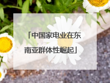 中国家电业在东南亚群体性崛起