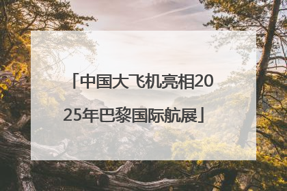 中国大飞机亮相2025年巴黎国际航展