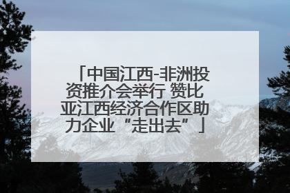 中国江西-非洲投资推介会举行 赞比亚江西经济合作区助力企业“走出去”