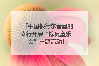 中国银行东营垦利支行开展“粽夏童乐会”主题活动