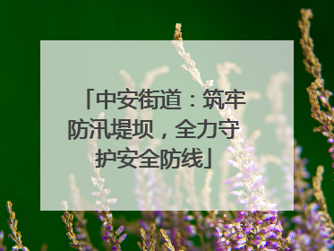 中安街道：筑牢防汛堤坝，全力守护安全防线