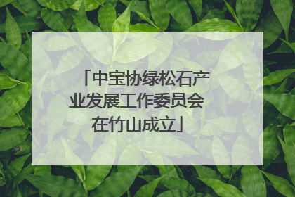 中宝协绿松石产业发展工作委员会在竹山成立