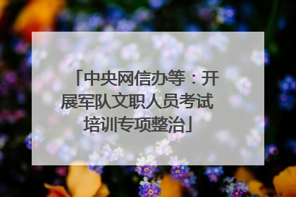 中央网信办等：开展军队文职人员考试培训专项整治