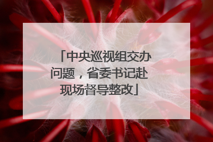 中央巡视组交办问题，省委书记赴现场督导整改
