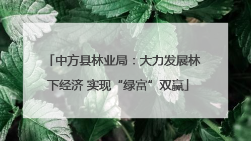中方县林业局：大力发展林下经济 实现“绿富”双赢