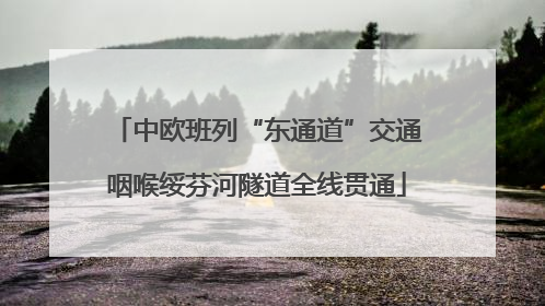 中欧班列“东通道”交通咽喉绥芬河隧道全线贯通