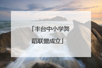 丰台中小学舞蹈联盟成立