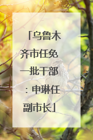 乌鲁木齐市任免一批干部：申琳任副市长