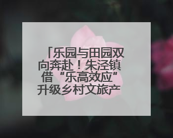 乐园与田园双向奔赴！朱泾镇借“乐高效应”升级乡村文旅产业〡申观察