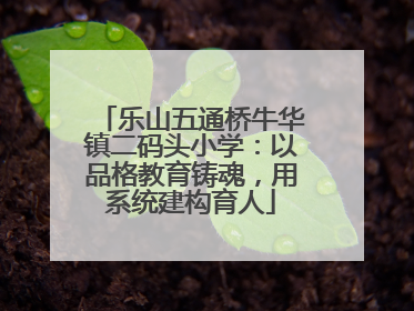 乐山五通桥牛华镇二码头小学：以品格教育铸魂，用系统建构育人