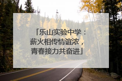 乐山实验中学：薪火相传情谊浓，青春接力共奋进