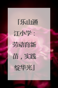乐山通江小学：劳动育新苗，实践绽华光