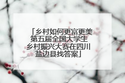 乡村如何更富更美 第五届全国大学生乡村振兴大赛在四川盐边县找答案