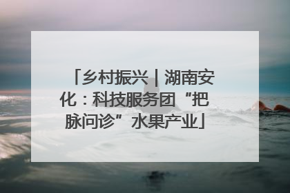 乡村振兴｜湖南安化：科技服务团“把脉问诊”水果产业