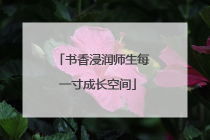 书香浸润师生每一寸成长空间