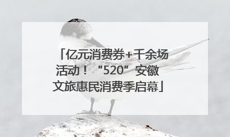 亿元消费券+千余场活动！“520”安徽文旅惠民消费季启幕