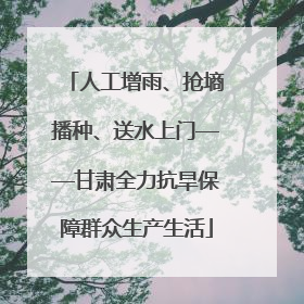 人工增雨、抢墒播种、送水上门——甘肃全力抗旱保障群众生产生活