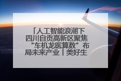 人工智能浪潮下 四川自贡高新区聚焦“车机龙医算数”布局未来产业丨美好生活有“盐”味