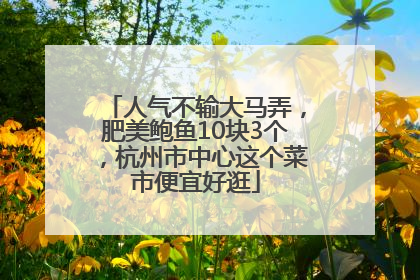 人气不输大马弄，肥美鲍鱼10块3个，杭州市中心这个菜市便宜好逛