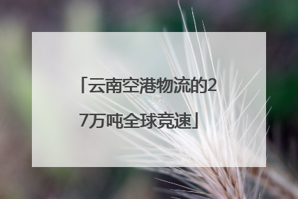 云南空港物流的27万吨全球竞速