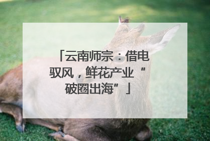 云南师宗：借电驭风，鲜花产业“破圈出海”
