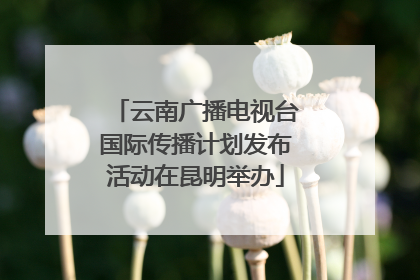 云南广播电视台国际传播计划发布活动在昆明举办
