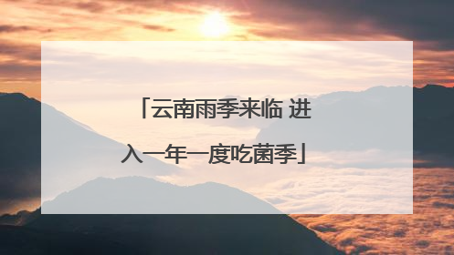 云南雨季来临 进入一年一度吃菌季