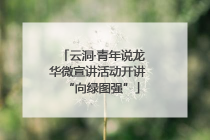 云洞·青年说龙华微宣讲活动开讲“向绿图强”