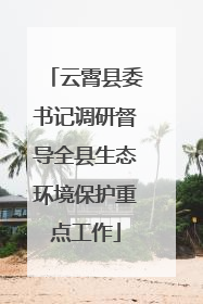云霄县委书记调研督导全县生态环境保护重点工作