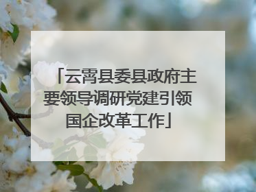 云霄县委县政府主要领导调研党建引领国企改革工作