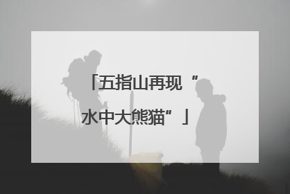 五指山再现“水中大熊猫”