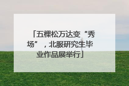 五棵松万达变“秀场”，北服研究生毕业作品展举行