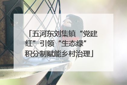 五河东刘集镇“党建红”引领“生态绿” 积分制赋能乡村治理