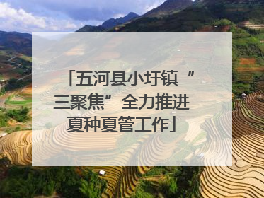 五河县小圩镇“三聚焦”全力推进夏种夏管工作
