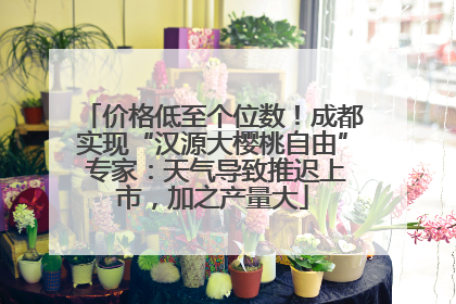 价格低至个位数！成都实现“汉源大樱桃自由” 专家：天气导致推迟上市，加之产量大
