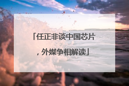 任正非谈中国芯片，外媒争相解读