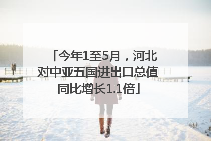 今年1至5月，河北对中亚五国进出口总值同比增长1.1倍